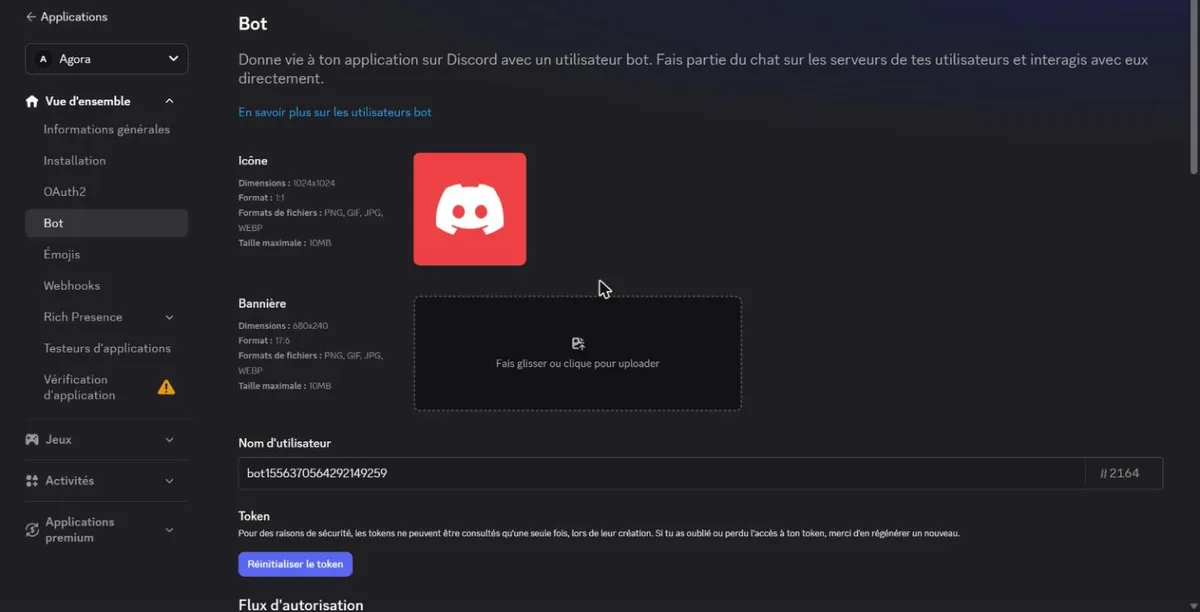 L'onglet Bot : icône, nom d'utilisateur du bot et bouton Réinitialiser le token